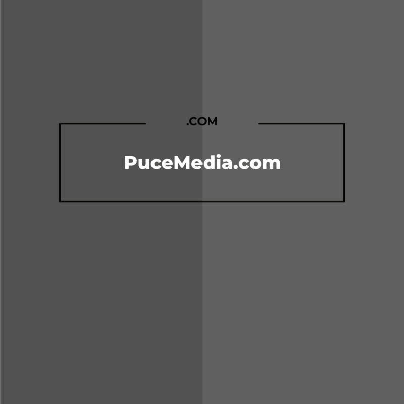 PuceMedia.com